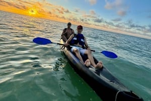 Holbox: Excursión en kayak al atardecer en los manglares