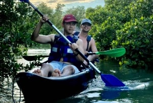 Holbox: Excursión en kayak al atardecer en los manglares