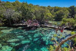 Holbox Plus + Cenote