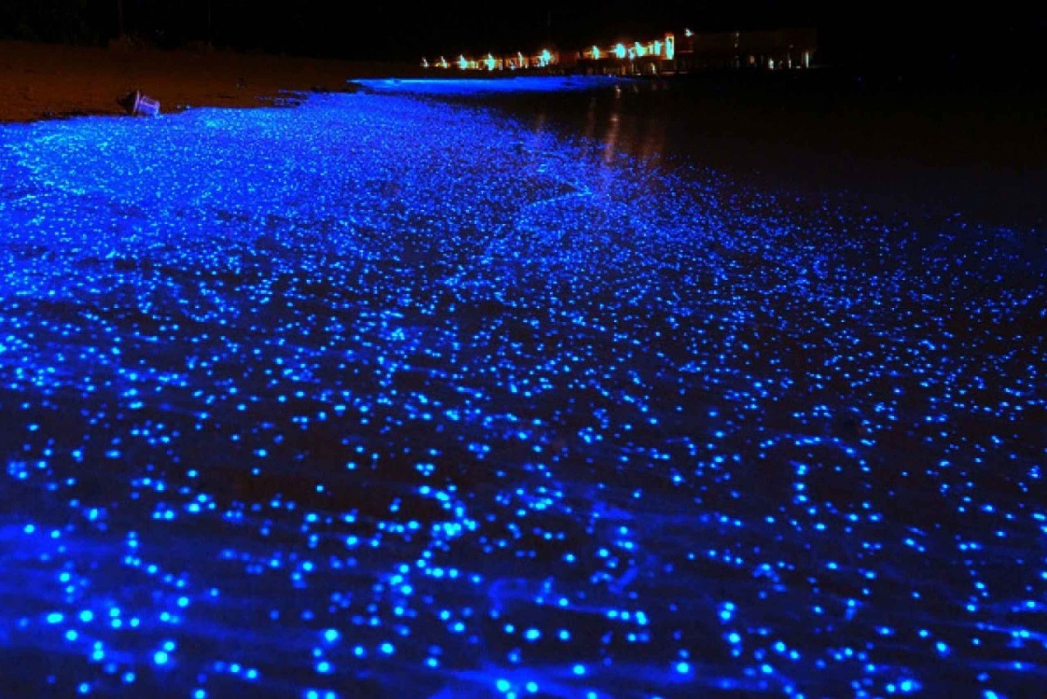 Holbox: Private Bioluminescence Beach Tour by Golf Cart