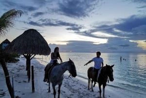 Holbox: Paseos a Caballo Privados