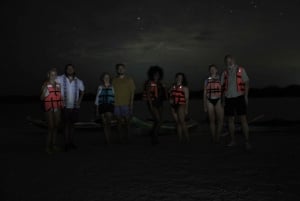 Holbox: Excursión en Kayak por las Estrellas y la Vida Marina Bioluminiscente