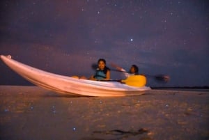 Holbox: Excursión en Kayak por las Estrellas y la Vida Marina Bioluminiscente
