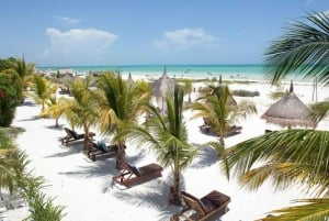 Holbox Tour from Cancun and Tulum with Boat Included