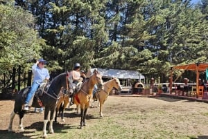 Horseback in the mountains & Food in our ranch