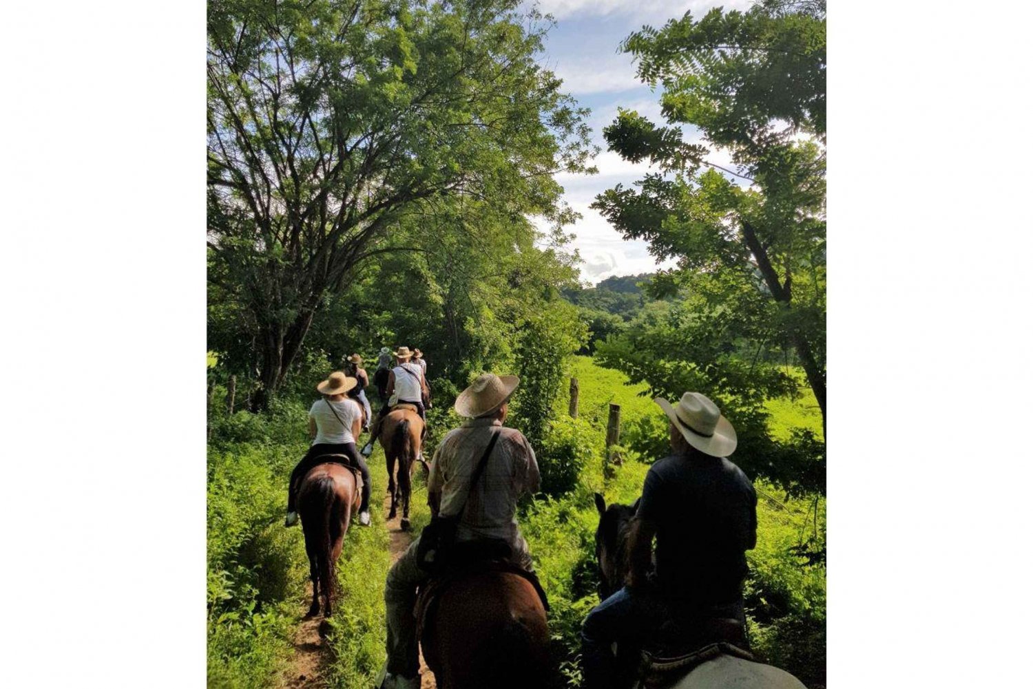 Excursión a Caballo por las Aguas Termales de Puerto Escondido.