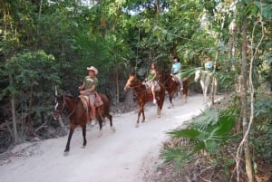 Horseback Riding in the Tropical Jungle