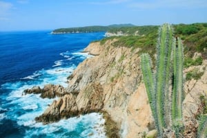 Huatulco: Experiencia en Panga Premium Exclusiva de 5 Bahías