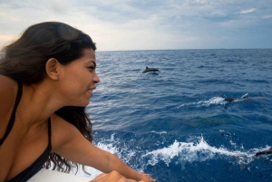 Huatulco: Awakening With Stars and Dolphins Boat Cruise