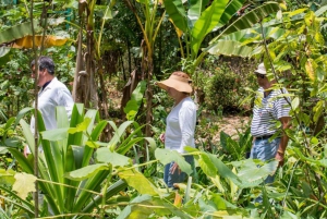 Huatulco: Coffee Flavor Waterfall Tour with Local Lunch