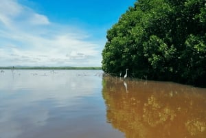 Huatulco: Exploración de la Laguna de Chacahua