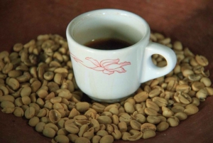 Huatulco: Local Coffee Tasting and Cultural Experience