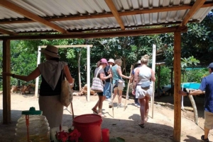 Huatulco: Experiencia Privada en un Rancho de Café y Frutas