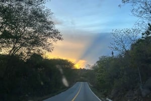 Huatulco: Lección de Surf con instructor de surf. Todos los niveles