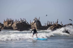 Huatulco: Lección de Surf con instructor de surf. Todos los niveles