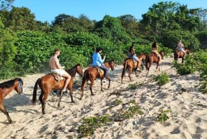 Huatulco:Liberación de tortugas,paseos a caballo y bioluminiscencia