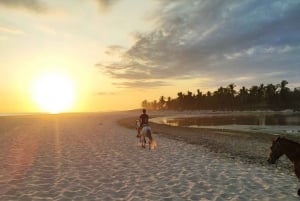 Huatulco:Liberación de tortugas,paseos a caballo y bioluminiscencia