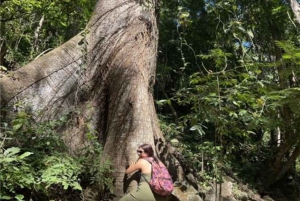 Huatulco: Excursión a las Cascadas con Comida Buffet