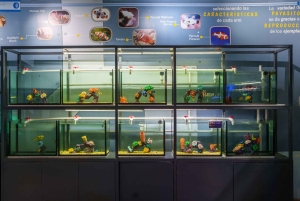 Inbursa Aquarium Entry Ticket with VR Option