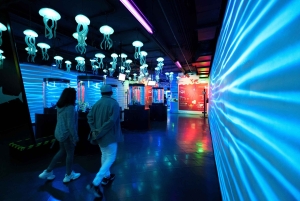 Inbursa Aquarium Entry Ticket with VR Option