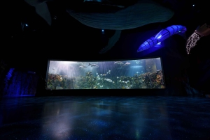 Inbursa Aquarium Entry Ticket with VR Option