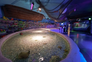 Inbursa Aquarium Entry Ticket with VR Option