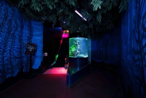 Inbursa Aquarium Entry Ticket with VR Option