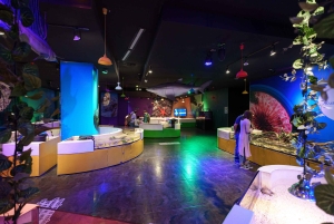 Inbursa Aquarium Entry Ticket with VR Option