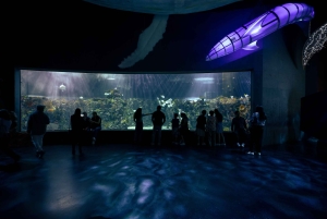 Inbursa Aquarium Entry Ticket with VR Option