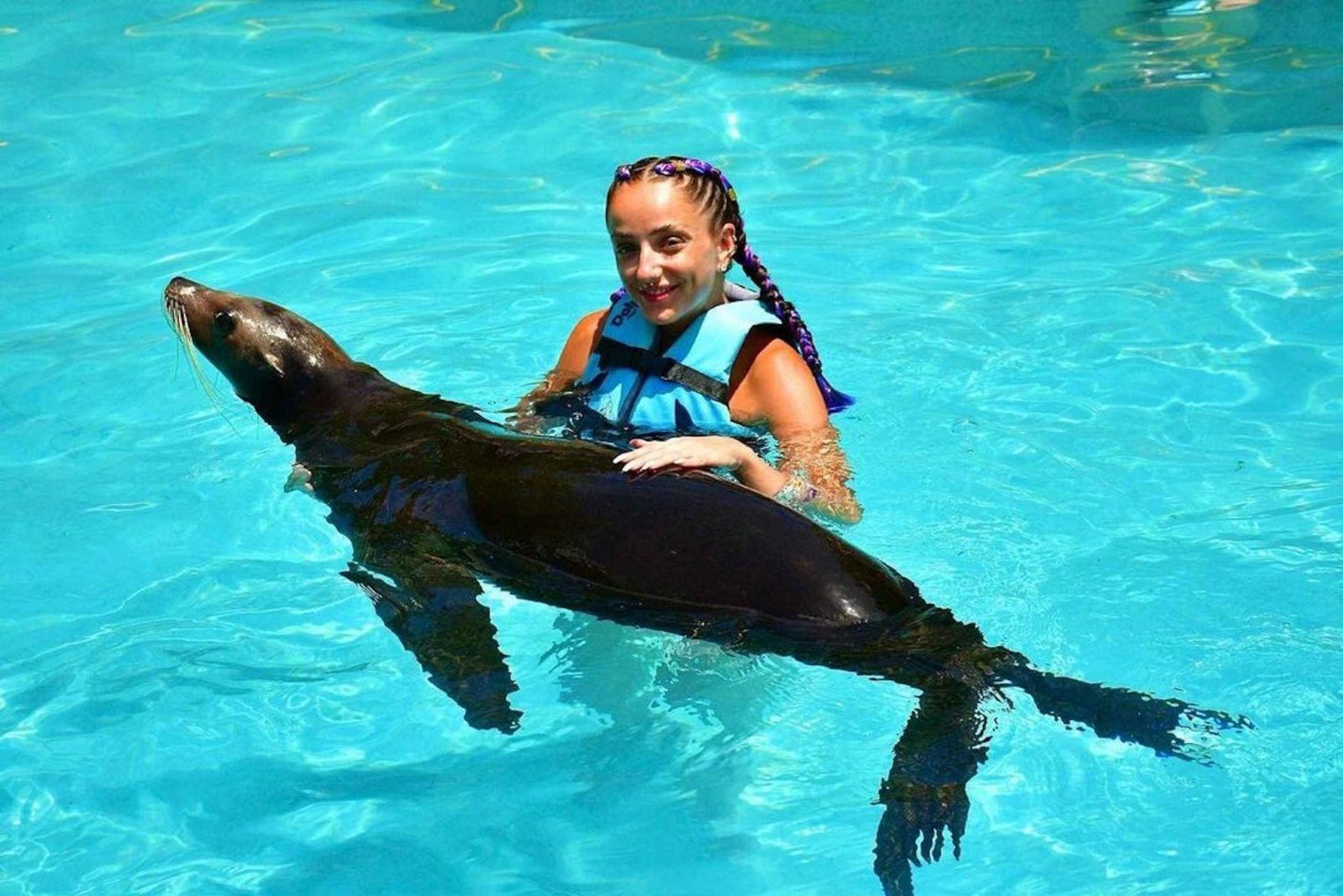 Interaction with Sea Lions Cozumel