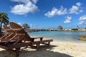 Interaction with Sea Lions Cozumel