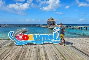 Interaction with Sea Lions Cozumel