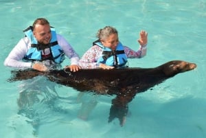 Interaction with Sea Lions Cozumel