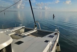 Catamarán a Isla Mujeres con traslado ida y vuelta desde Tulum