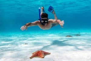 Catamarán a Isla Mujeres con traslado ida y vuelta desde Tulum