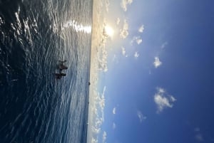 Isla Mujeres: Catamarán con Snorkel, Barra Libre y Traslado