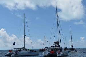 Isla Mujeres: Only Adults Catamaran, Snorkel and Beach club