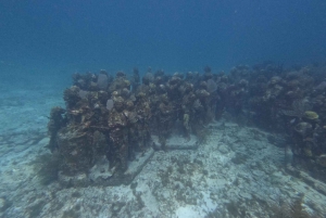 Isla Mujeres: Experiencia de snorkel en el Museo Subacuático