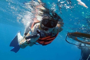 Isla Mujeres: Snorkel Tour at Musa and Manchones Reef