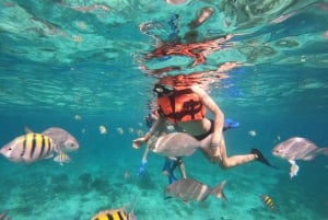Isla Mujeres: Snorkeling Adventure at the Underwater Museum