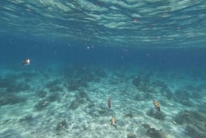 Isla Mujeres: Snorkeling in Underwater Museum