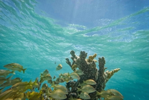 Isla Mujeres: Snorkeling in Underwater Museum