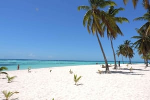 Isla Saona Snorkeling & Wildlife Safari: All inclusive!