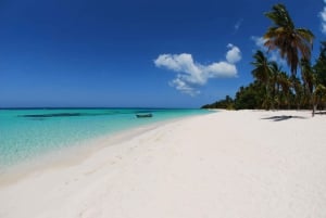 Isla Saona Snorkeling & Wildlife Safari: All inclusive!