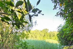 Ixtapa: Aventura de observación de aves en Aztlán