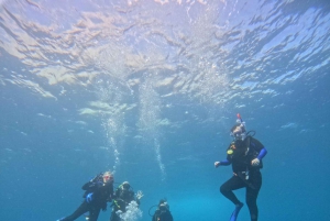 Ixtapa: Discover Diver Course