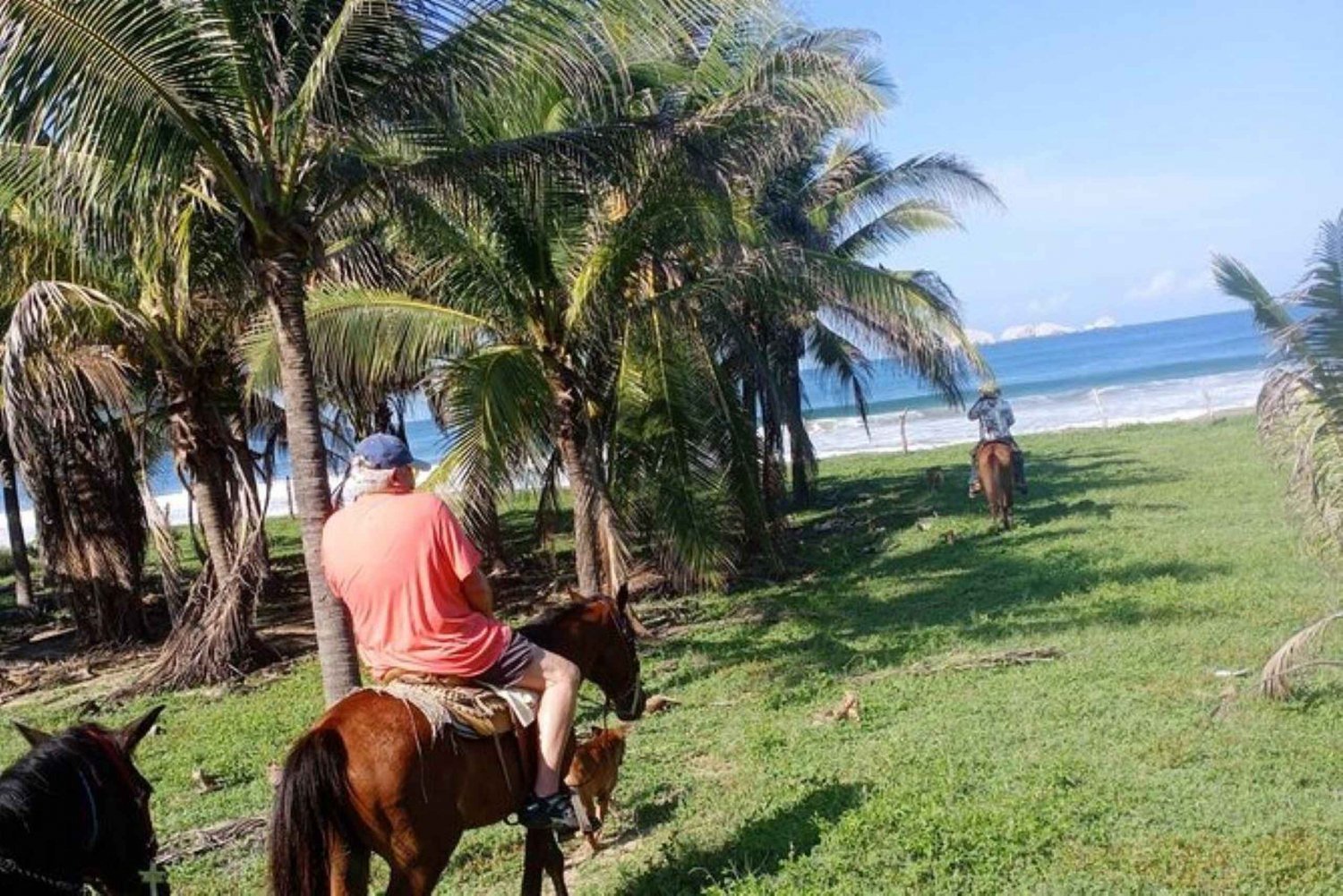 Ixtapa: Aventura a caballo en Zihuatanejo