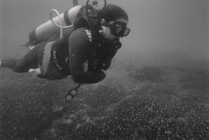 Ixtapa: Exploración Subacuática Nocturna en Piedra Solitaria