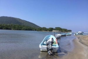 Ixtapa-Zihuatanejo: Barra de Potosi Scenic Lagoon Tour