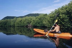 Ixtapa-Zihuatanejo: Barra de Potosi Scenic Lagoon Tour